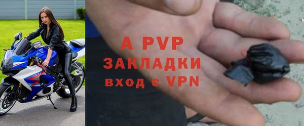 apvp Богданович